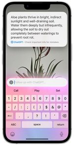 novo-iphone-16e